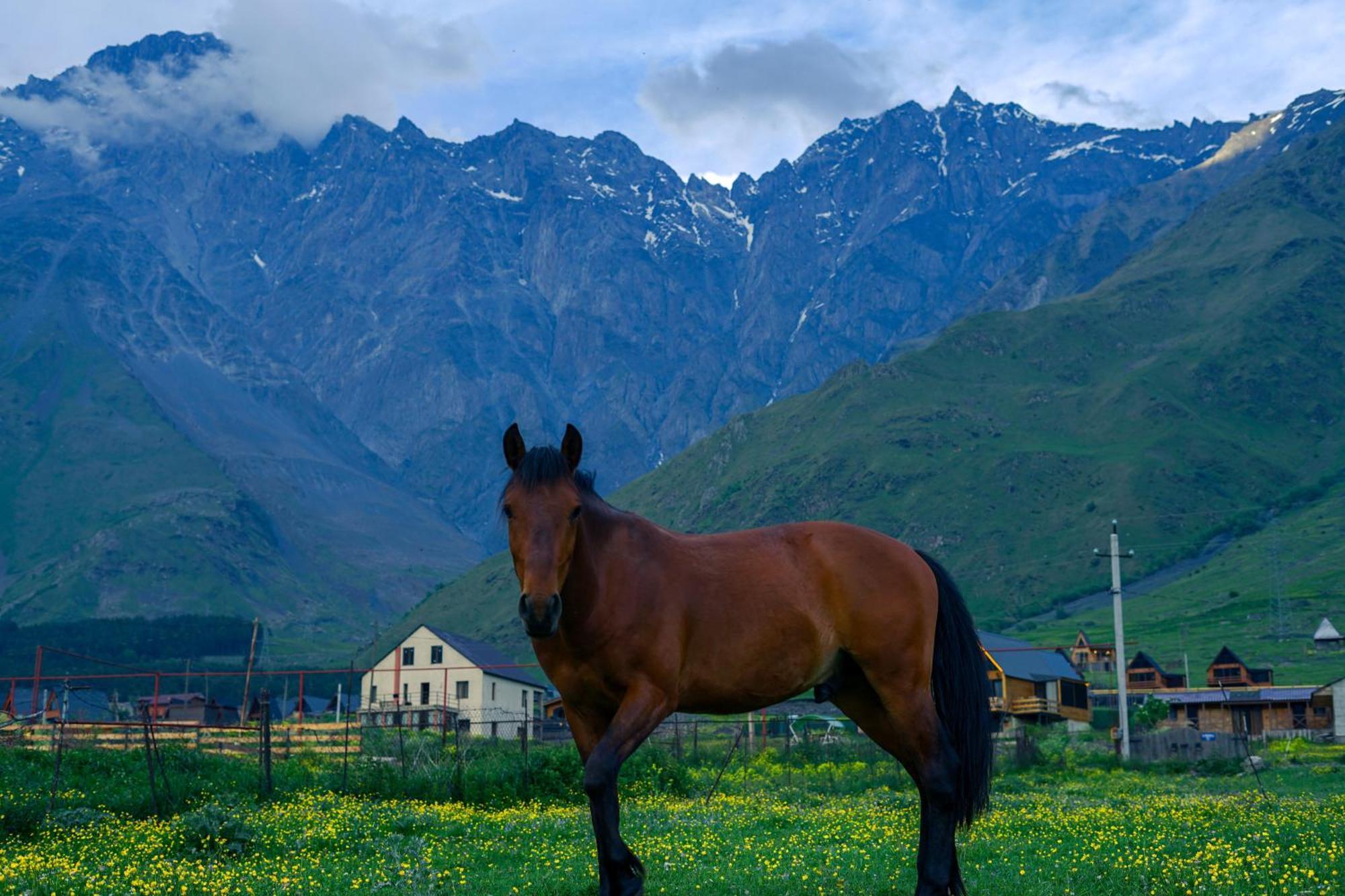 Savalley Kazbegi Εξωτερικό φωτογραφία